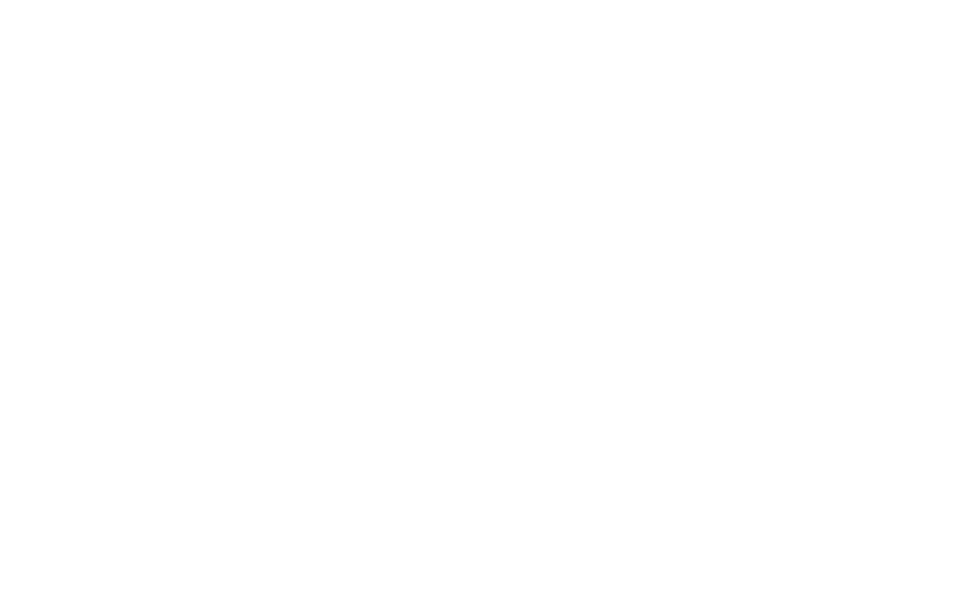 Integrity-Public-Affairs-white